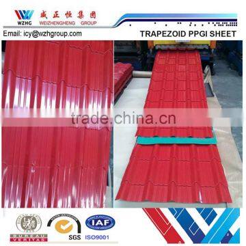 High Quality Color Steel Tiles for Roofing on Garden Wood Shed Color Steel Tiles photo-2