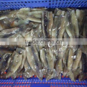 Zhengyuan Frozen Illex Squid Tube