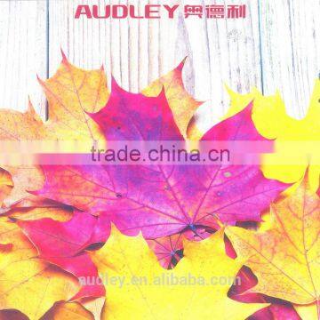 Audley 1600H5 Professionally Produce Auto Pneumatic One Side Cold Thermal Hot Roll Laminating Machine photo-5