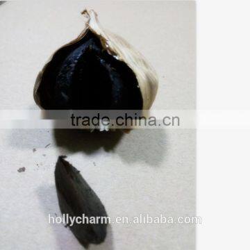 2016 Best-seller the Natural Green Organic Solo Blackgarlic From China photo-4