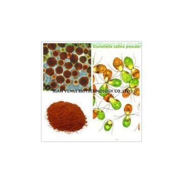 Anti cancer eye protecting Natural Salt algae extract,salt algae powder