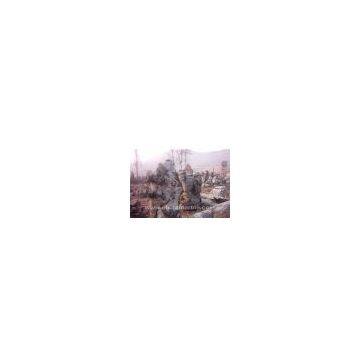 Sell Garden Landscaping Stone (LDP-19)