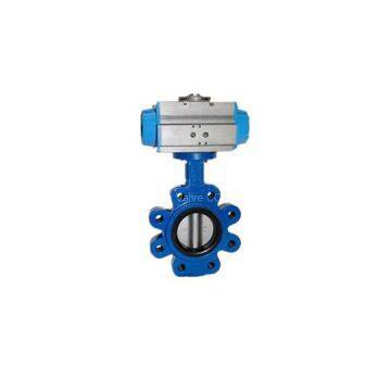 Marine Lug Style Butterfly Valve