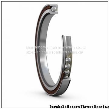 Downhole Motors Thrust Bearing