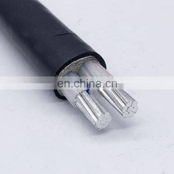 Manufacturer Customized YJLV2 Core 2*16 Square Millimeter PVC Insulated Power Cable Wire photo-5