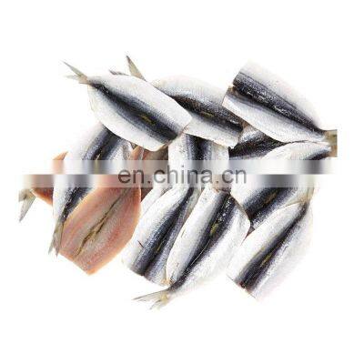 Good Price Frozen Sardine Fish Fillet tail on