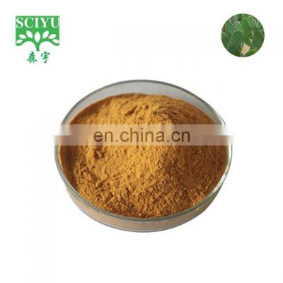 in stock natural pure cactus extract powder