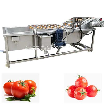 Stainless Steel Tomato Washing Machine