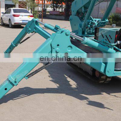 3T Mini Spider Crane Lift for Tree Work photo-5