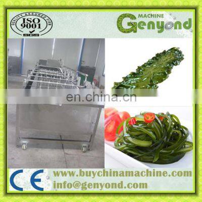 Seaweed Washing Machine/best Seller Kelp Cleaning Machine/seaweed Cleaning Machine photo-3