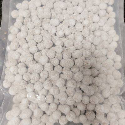 Mesin Pembuat Mutiara Tapioka Taiwan FY-006, Boba Tapioka Sabudana (Sagu) di Dalam Pabrik photo-2