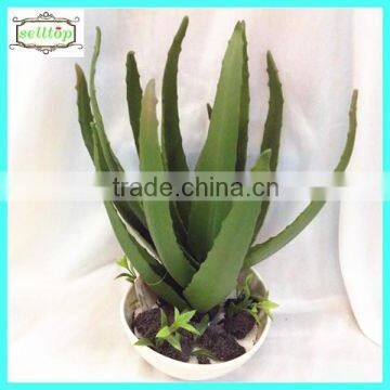 14cm New Design Hot Sale Artificial Mini Artificial Plants