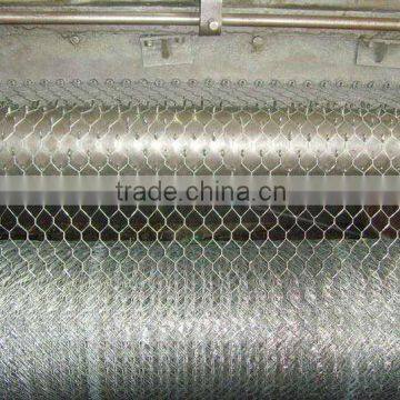 Hot dip galvanized hexagonal wire netting