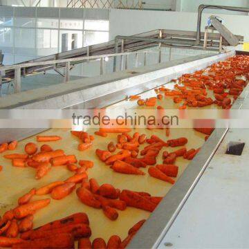 Adjustable belt conveyor