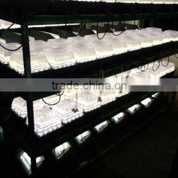 2016 LED New Product US Style Gas Station Canopy Lighting photo-5
