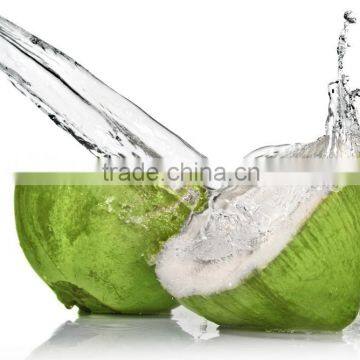 packed Fresh coconut water- Rosun Natural Products Pvt Ltd INDIA