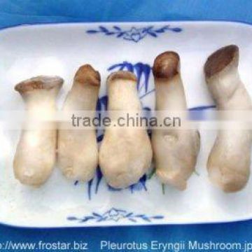 Frozen Pleurotus Eryngii Mushroom whole