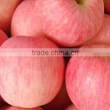 Hot sale red mature apple