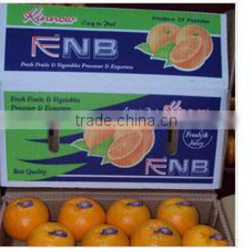 High quality hot sell Mandarin Orange