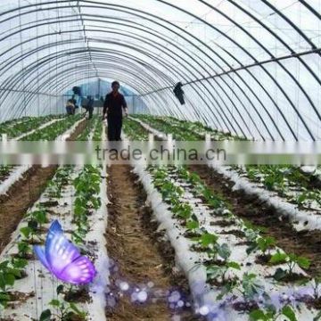 2015 China Hot Sale UV Resistant Agricultural Greenhouse Plastic Film