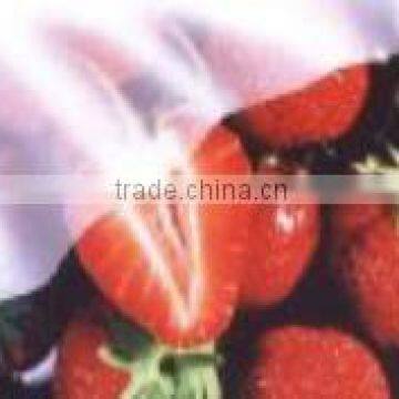 pp spunbond nonwoven fabric for fruit cover