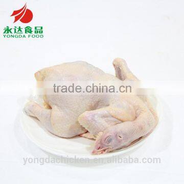 Halal Quality Chicken the Whole Chicken photo-3