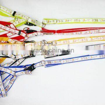 Nylon Custom Dog Leash and Harness