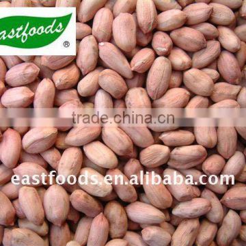 2013 crop 24/28 groundnut kernels