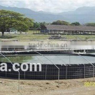 the most economical plastic fish farming tanks for sale