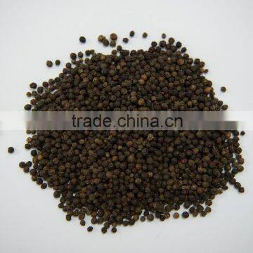 Vietnam Export Black Pepper