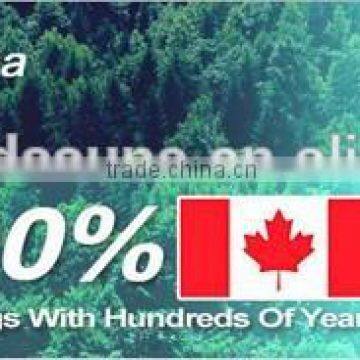 2 Person Infrared Sauna Ceramic Canada Hemlock Beauty Equipment photo-6