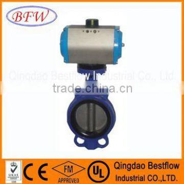 Concentric Butterfly Valve