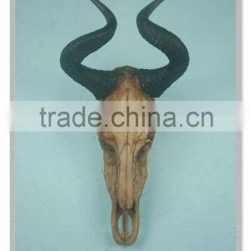 Curly Horn goat bust Skull wall hanging