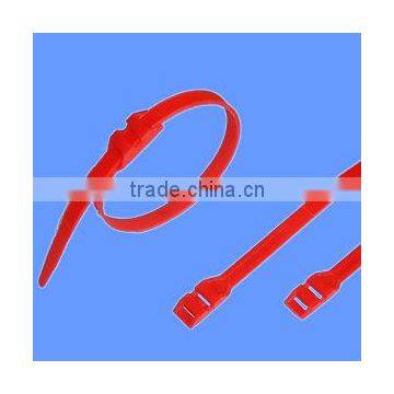 High Quality Full Size & Color Nylon 66 Plastic Double Lock Cable Tie