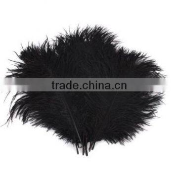 10-20cm Real Natural White Home Decor Ostrich Feathers Party Wedding Decorations Pack Of 50