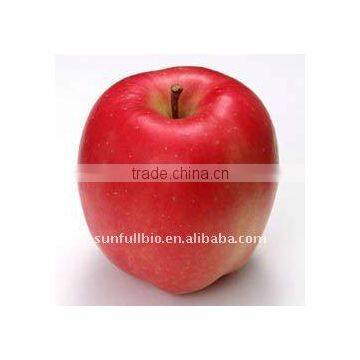 Instant Apple Powder 90% Polyphenols