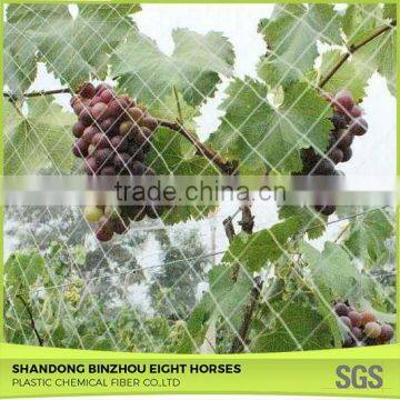 Chinese Credible Supplier Net Anti Bird Netting photo-5