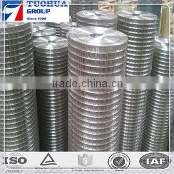 cheap galvanized welded wire mesh from china factory