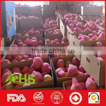 Fresh Fuji Apple Fruit Exporter From China photo-5