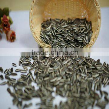 Sunflower seeds for human eating and consumption