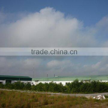 Pickled Preservation Style Baby Cucumber photo-5