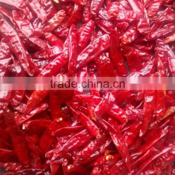 CHILI PEPPER photo-6