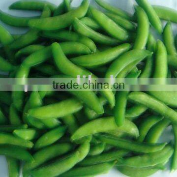 New season Frozen sugary snap pea