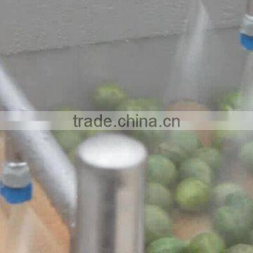 Full Automatic Industrial Spray Vegetable And Fruit Washer Washing Machine photo-5