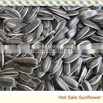 Raw Processing Type and Dried Style unsalted roasted sunflower seeds 5009