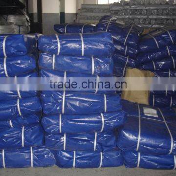 Tarpaulin in Roll Exported to Jordan