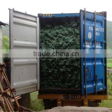 Wooden Broom Stick PVC Coated/ Wooden Broom Handle ( Contact@kego.com.vn)