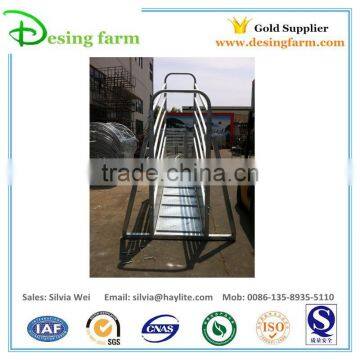 Cattle Load Chute for Livestock Handling Equipment photo-3