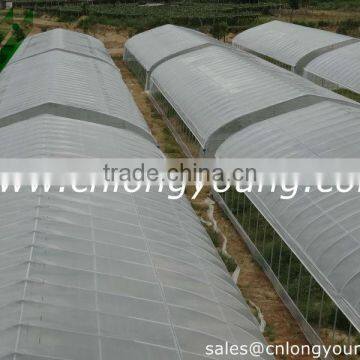 Poly Greenhouses