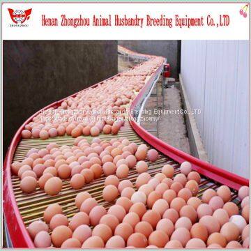 Best Sell Used Chicken Cages for Poultry Farm photo-4